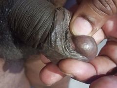 See my cock 02
