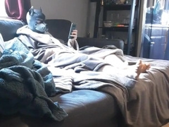 Caught pup wanking