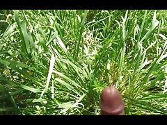 Cum Compilation 2