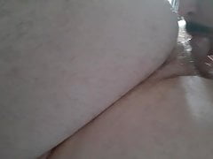 Cub Bear sucks cock