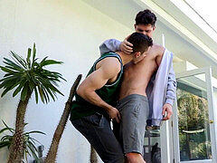 Teddy, ass-fuck, hd videos