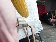 Corn Cob in my ass