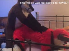 Murrsuit Sex Compilation