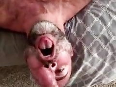 Bear cum on his boyfriend