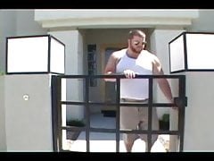 Fat bears in the shower