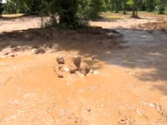 Mud Boys in Large Pit