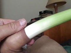 Two vegetables in foreskin - cucumber then leek