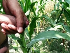 Hj in outdoor and money-shot on leaf, giant penis
