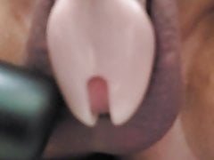 Blue balls chastity slave teasing 48 days without orgasm