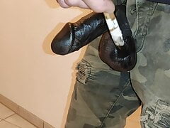 Cock painting get ready for a walk