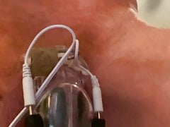 Gingerguy using electro chastity cage