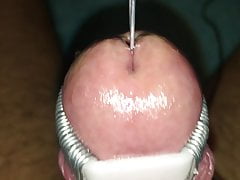 My electro tortured cockhead completely swallows a 13mm rod