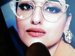 Sonakshi sinha cum tribute