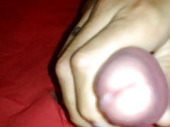 Mouche a sperme