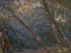 Good Dick The Brotherhood