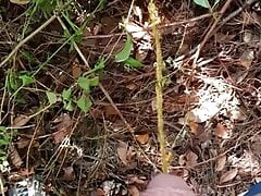 Outdoor Piss in Park (1)
