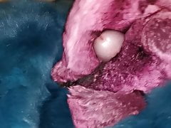 Chinchilla fur cumshot twice in a row