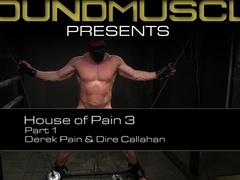 Dom Dire Callahan Tortures Gimp Derek Ache With Sheer pleasure