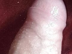 Young Colombian porn in my room I masturbate