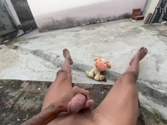 I came in the backyard for my neighbor to observe