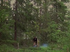 Words from Forest