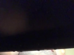 Teddy Working on Computer