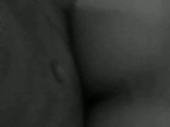 Maldivian bareback