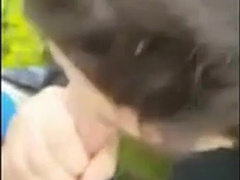 Youngster Deepthroating Weenie In The Park And Getting The Spunk