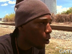 Interracial doggie joins in for a wild ride with his bi-racial buddy