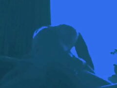 In my bed
