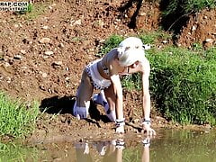 Messy trappy cow in the mud preview