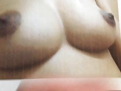 Tribute Indian Tits