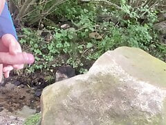 Cum on Stone in Wood POV Public