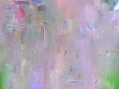 Alekskot's Web Cam,