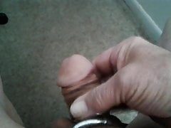 cock rings