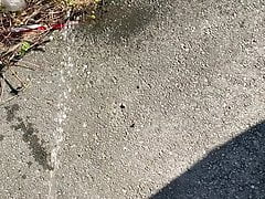 Pee on the road