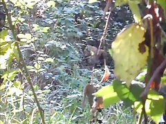 cruising...in the forest pt3