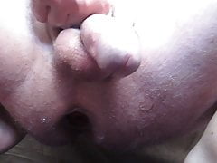 wet ass and cock