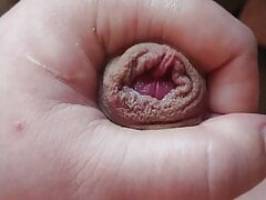 Close up big cock