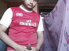 Desi Land