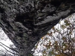 Bulky bodybuilder is milking off in woods outdoor public place