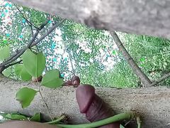 Sex with Trees