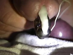 Closeup pierced cock electro