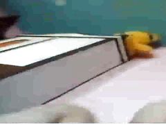Boy masturbating hard