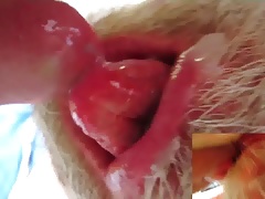 Tom Bear presents Cum 2017 with uncut dick