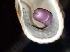 Net Friend fucking nieces boot
