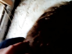 me give a blowjob to are gode friend