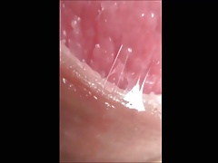 Soft to Hard Dick Erections and a Cumshot