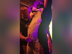 Blindfolded Canine Edged By Stepdaddy Bear Until He