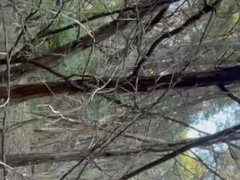 Fapping off in the forest